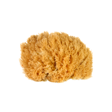 Load image into Gallery viewer, Grace