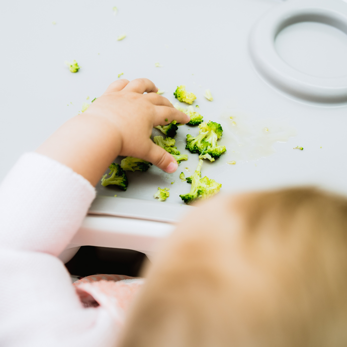 What is Baby Led Weaning And is it Safe?